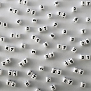 ¿Por qué los números primos son tan importantes?