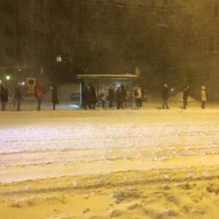 La extraña costumbre en Finlandia en las paradas de autobús