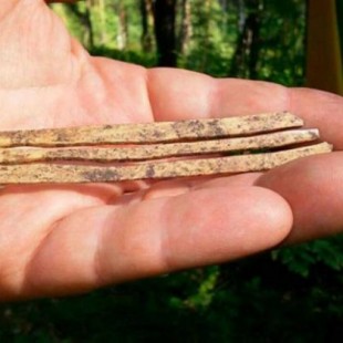 Instrumento musical de los hunos descubierto en Rusia aún suena después de 1.700 años