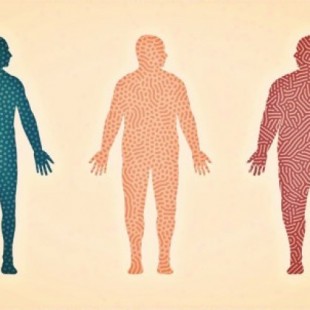 El aumento de peso provoca cambios a nivel microbiano, inmunológico, genético y cardiovascular