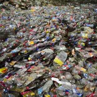 Reciclaje de plástico: El modelo para evitar que miles de botellas acaben en el mar (y que España no quiere)