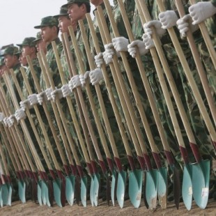 China envía a 60.000 soldados a plantar árboles para  combatir la contaminación [En]