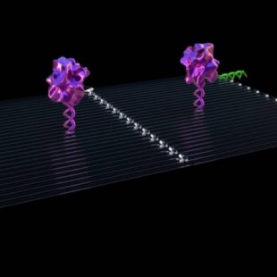 Crean nano-robots inyectables que detectan y destruyen tumores cancerígenos en horas