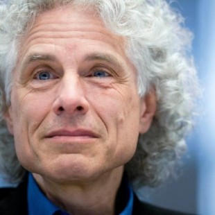 Steven Pinker: Las políticas de identidad son 'enemigas de la razón y de los valores de la Ilustración' [ENG]