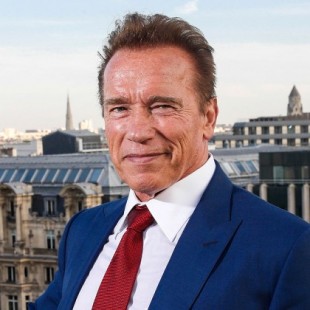 Arnold Schwarzenegger también aparecerá en kung Fury II
