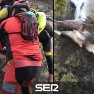 La cabra montesa liberada por un grupo de ciclistas acaba decapitada