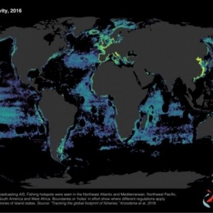 Rastrear la pesca desde el espacio: La huella mundial de la pesca industrial al descubierto