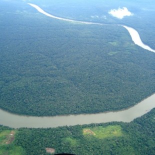 La Amazonía se acerca al punto de no retorno y podría convertirse en una sabana