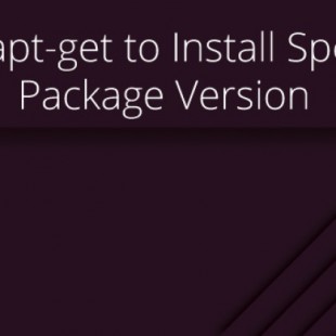 Cómo instalar una versión específica de un paquete usando ‘apt-get’ [ENG]