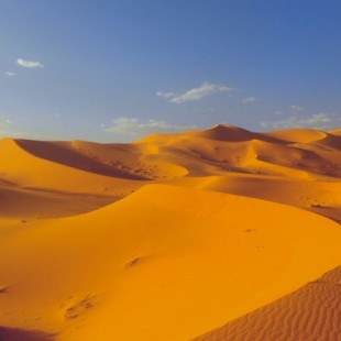 Dune, una apología ecológica en clave de ciencia ficción