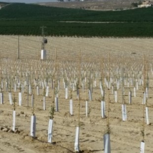 Multa de más de 450.000 euros a 'Castillo de Tabernas' por extraer agua sin permiso en Almeria