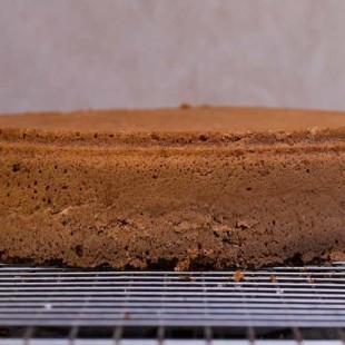 El bizcocho de chocolate para tartas perfecto y fácil