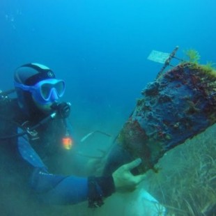 Científicos piden ayuda para salvar a un mejillón gigante del Mediterráneo