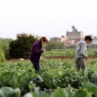 El negocio del campo se dispara mientras 7.000 agricultores dejan la tierra cada año