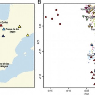 Cuatro milenios de prehistoria biomolecular Ibérica ilustran el impacto de las migraciones prehistóricas (ENG)