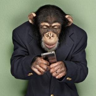 ¿Cómo un mono ganó más en 10 años en el mercado de valores que algunos profesionales?