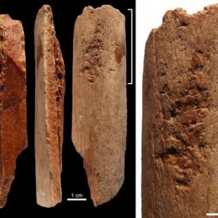 Sofisticadas herramientas de hueso de 115.000 años aparecen en China