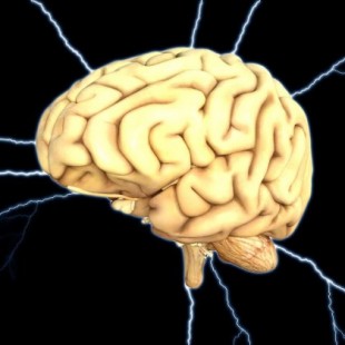 El sedentarismo impacta en el cerebro y genera deterioro cognitivo