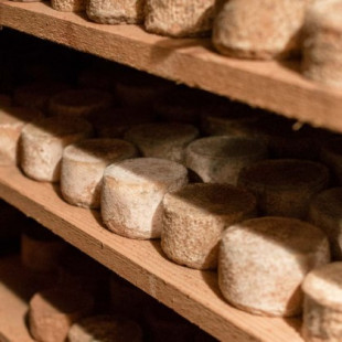 Cómo los mercados negros han preservado los quesos artesanales españoles [ENG]