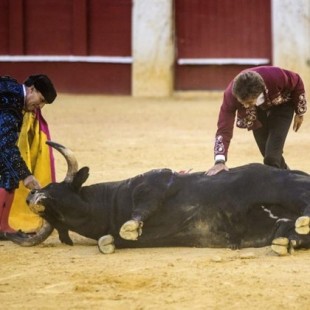 El Gobierno defiende la muerte de los toros por "motivos culturales"