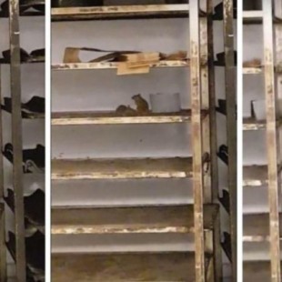 Graban ratas en las estanterías del pan de un Carrefour de Francia [FR]