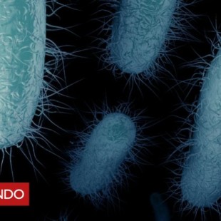 Qué son las ERC, las bacterias "pesadilla" que preocupan a los médicos en Estados Unidos