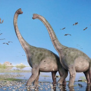 Los dinosaurios conquistaron la Tierra tras una extinción masiva de especies por un gran cambio climático