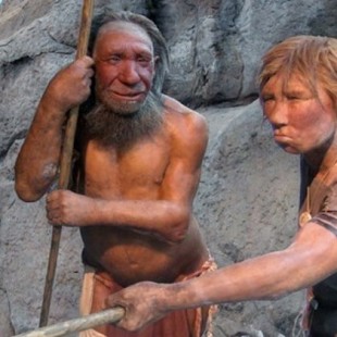 Neandertales y Homo Sapiens coexistieron menos de 1.000 años en la Cornisa Cantábrica