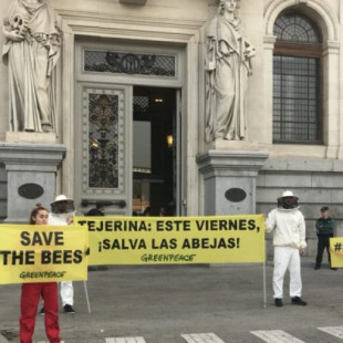 20 kg de abejas muertas en la puerta del Ministerio de Agricultura