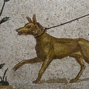 ¿Por qué en la Antigua Roma el 18 de julio se sacrificaban los perros guardianes del Capitolio?