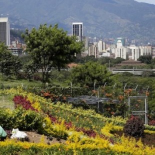 En Moravia, el morro de basura hoy es el mejor jardín de la ciudad de Medellin(Colombia)