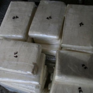 Otra vez las ratas: ahora se comieron 60 kilos de cocaína en Jujuy