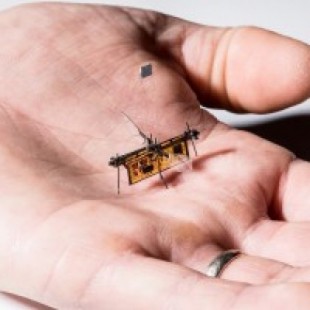 Primeras pruebas de un insecto robótico volador inalámbrico (ING)