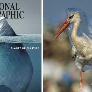 Todo el mundo aplaude esta portada de National Geographic pero la verdadera conmoción está dentro de las páginas [ENG]