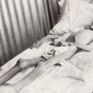 Los campos de concentración en Sudáfrica: fotografías del holocausto británico