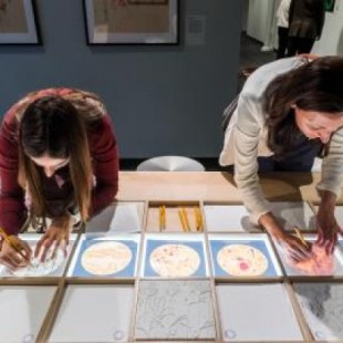 El Museo del MIT de Boston acoge la exposición La belleza del cerebro: los dibujos de Santiago Ramón y Cajal