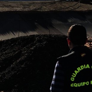 La Junta de Extremadura destruye 61.040 kilos de aceitunas