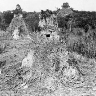 Fotografías de las ruinas mayas en el siglo XIX del explorador Alfred Maudslay