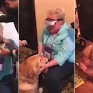Reacción de una mujer que estuvo ciega 16 años al ver a su perro guía por primera vez