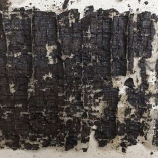 Descubren en Nápoles un manuscrito de Séneca el Viejo que se creía perdido