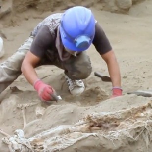 Hallan otros 56 esqueletos de niños sacrificados en un antiguo ritual en Perú