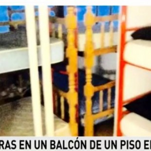 Alquilan literas en un balcón de un piso en Ibiza a 25 euros la noche