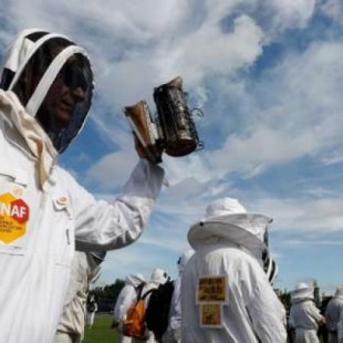 Tras descubrir miel contaminada con glifosato, un sindicato de apicultores francés denuncia a Bayer [Fr]