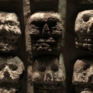 Detectan el virus que originó el 'Cocoliztli', la epidemia que mató al 80 % de la población azteca