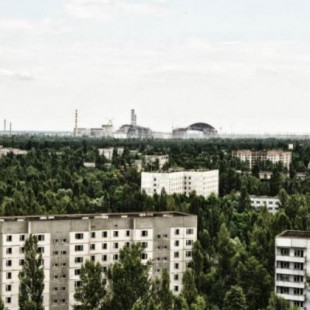 El desastre de Chernóbil cumple 32 años con una explosión de vida silvestre