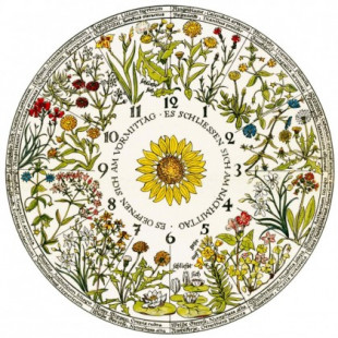 El reloj floral de Linneo