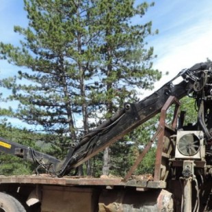 El negocio de la tala en el Pirineo: descontrol, daños y 9.600 toneladas de madera más de las previstas