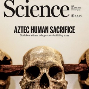 Cientos de cráneos atestiguan la escala monumental del sacrificio humano en la capital azteca [ENG]