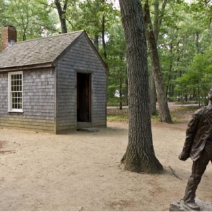 "Walden": la vida en los bosques.  Un alegato humanista del minimalismo (David Thoreau, 1854)