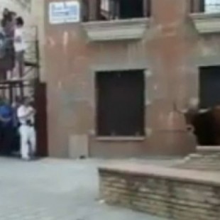 Matan a tiros y en público al 'toro de Coria' saltándose la ordenanza municipal que lo prohíbe